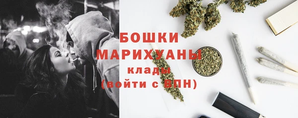 крисы Верея