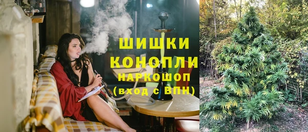 крисы Верея