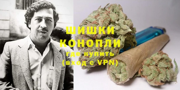 крисы Верея