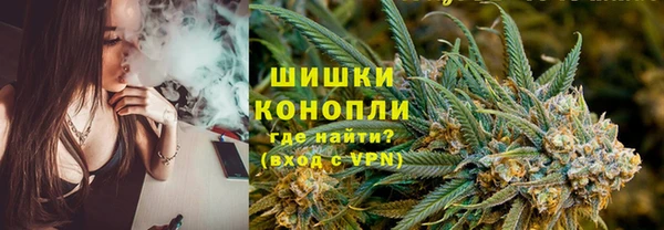 крисы Верея